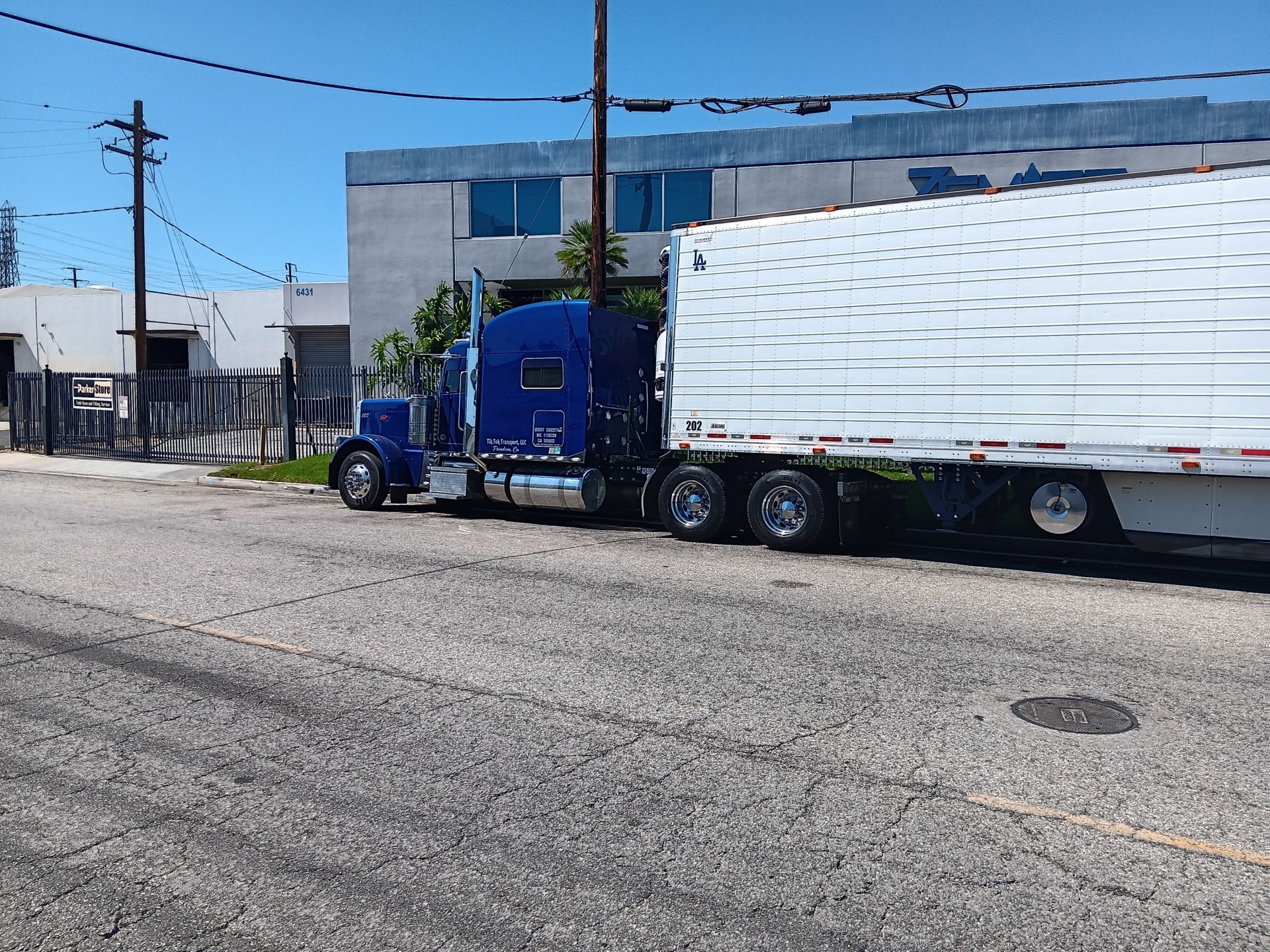 White Dump Truck Near Pine Tress during Daytime